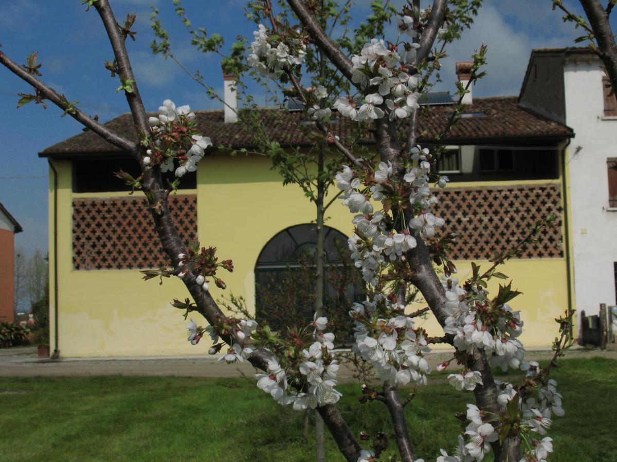 B&B Corte Cornalino Roverbella Екстериор снимка